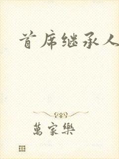 首席继承人封面