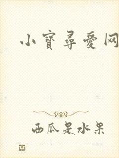 小宝寻爱网