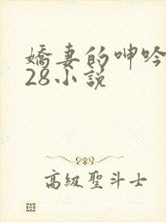 娇妻的呻吟1—28小说