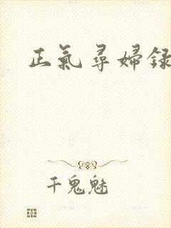 正气寻妇录封面