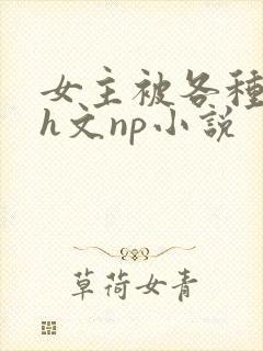 女主被各种调教h文np小说
