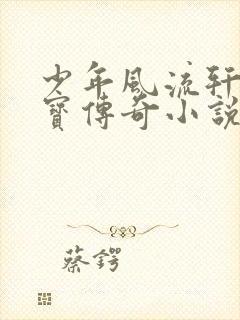 少年风流轩辕大宝传奇小说封面