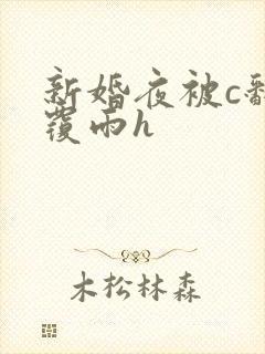 新婚夜被c翻云覆雨h
