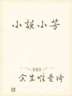 小说小芳封面