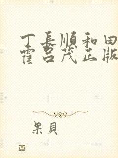 丁长顺和田晓兰霍吕茂正版