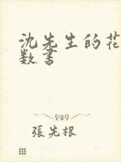 沈先生的花式调数书