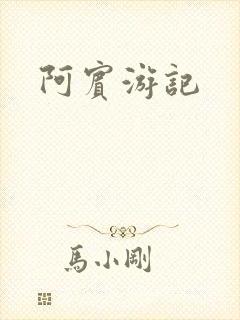 阿宾游记封面