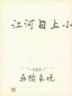 江河日上小说封面