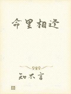 命里相逢