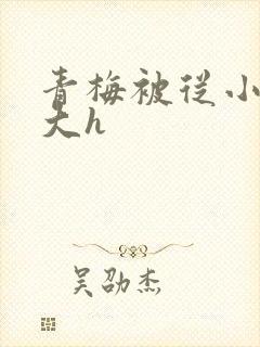 青梅被从小摸到大h