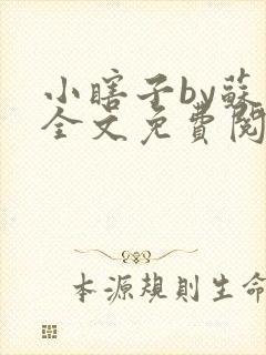 小瞎子by苏软全文免费阅读