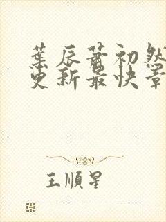 叶辰萧初然刚刚更新最快章节