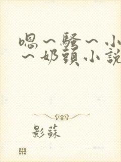 嗯～骚～小淫妇～奶头小说封面