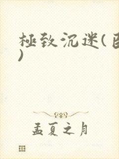 极致沉迷(臣年)封面