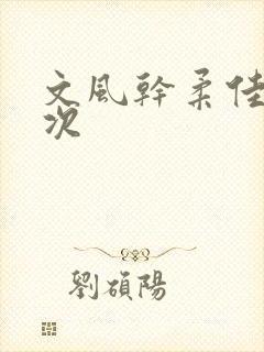 文风干柔佳第一次