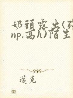 奶头露出(强jnp,高h)陌生人小说小说