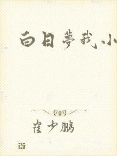 白日梦我小说