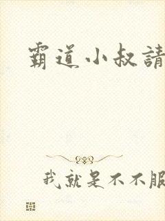 霸道小叔请轻撩封面