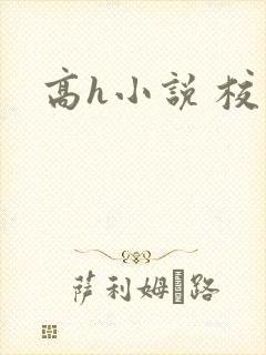 高h小说 校园封面