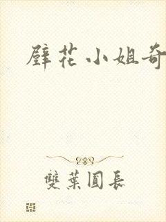 壁花小姐奇遇记封面