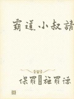 霸道小叔请轻撩封面