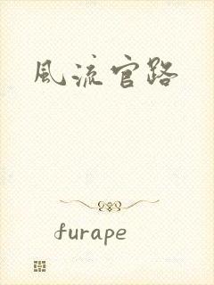 风流官路