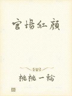 官场红颜封面