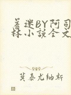 着迷BY阿司匹林小说全文免费阅读