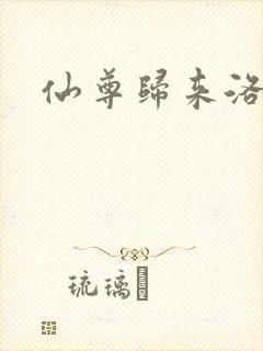 仙尊归来洛尘封面