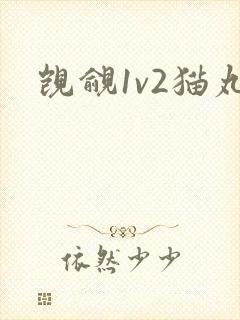 觊觎1v2猫丸封面