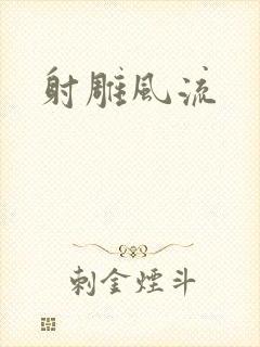 射雕风流封面