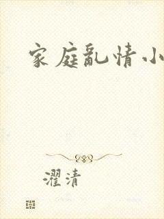 家庭乱情小说