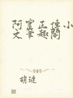 阿宾正传小说全文笔趣阁封面