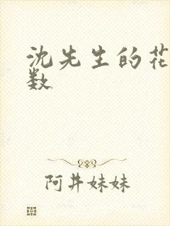 沈先生的花式调数