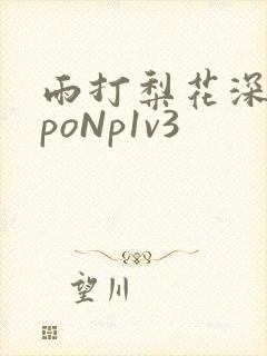 雨打梨花深闭门poNp1v3