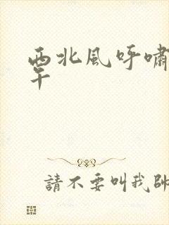 西北风呼啸的中午