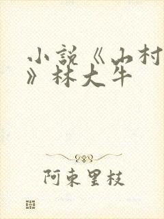 小说《山村情事》林大牛