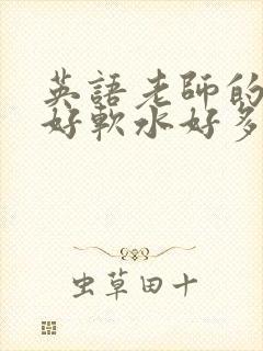 英语老师的兔子好软水好多