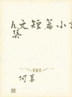 h文短篇小说合集