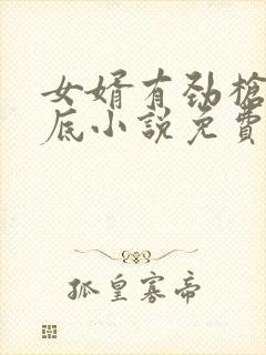 女婿有劲枪枪到底小说免费看