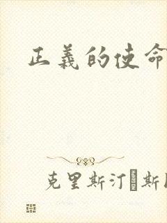 正义的使命小说