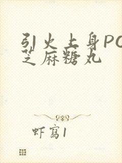 引火上身POP芝麻糖丸