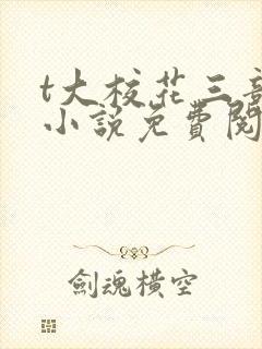 t大校花三部曲小说免费阅读全文封面