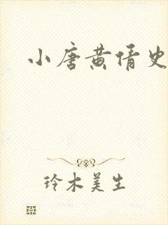 小唐黄倩史封面
