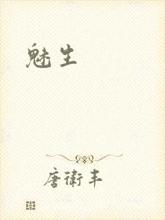 魅生封面