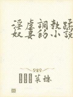 淫虐调教蹂躏共奴妻的小说