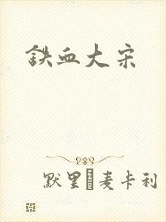 铁血大宋
