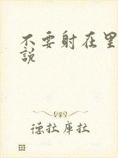 不要射在里面小说