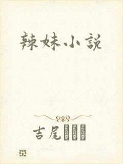 辣妹小说