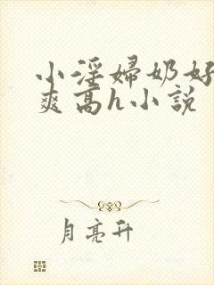 小淫妇奶好大好爽高h小说封面